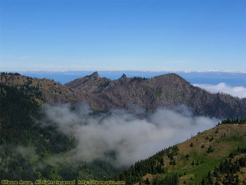 Hurricane Ridge Visitors Center (North View)