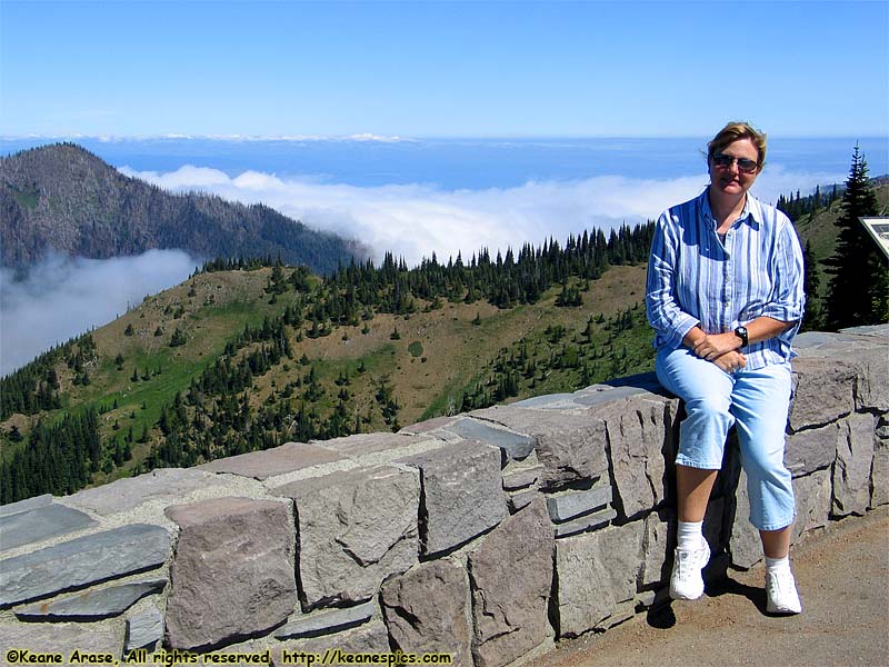 Hurricane Ridge Visitors Center (North View)