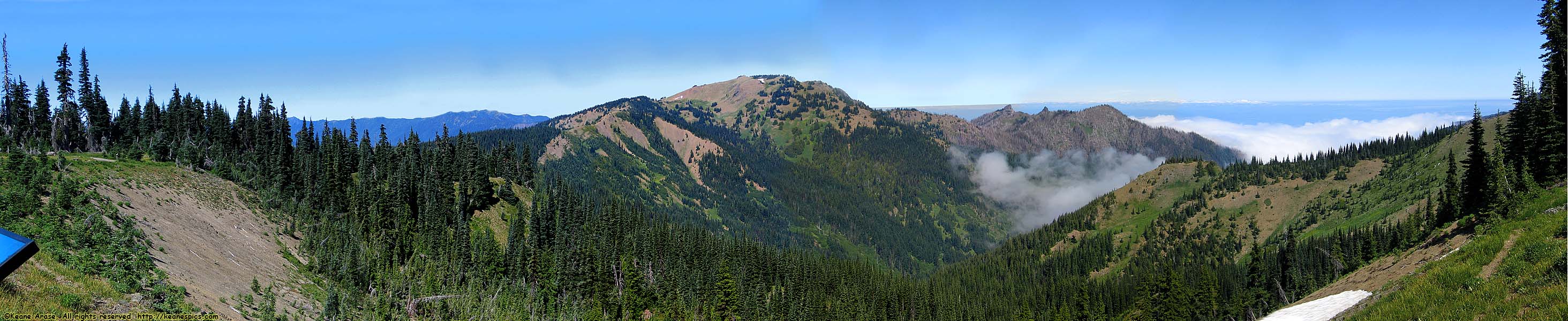 Hurricane Ridge Visitors Center (North View)