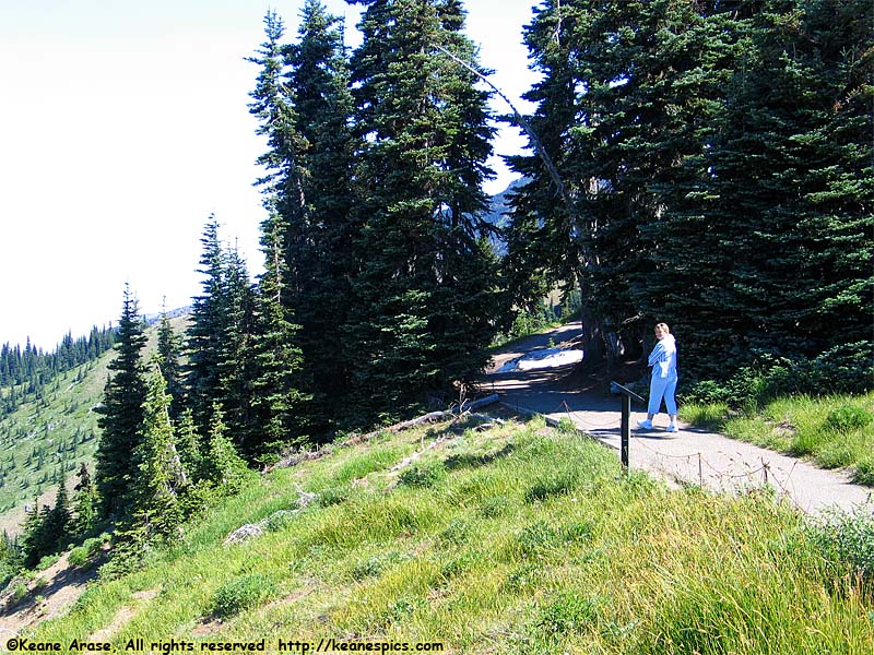 Hurricane Ridge Visitors Center (North View)