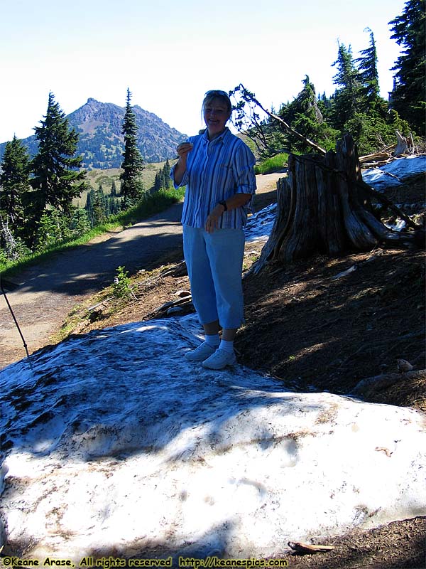 Hurricane Ridge Visitors Center (North View)