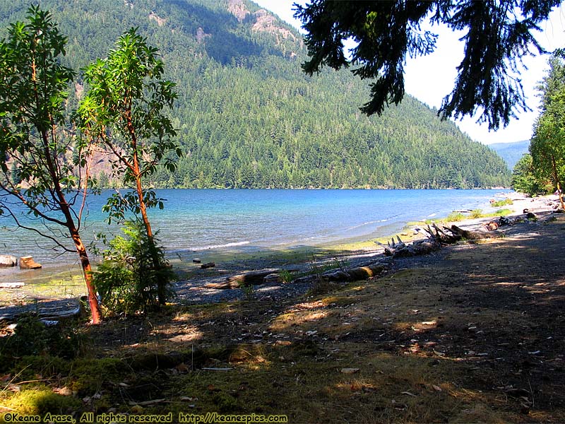 Lake Crescent Lodge