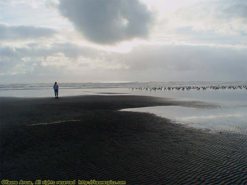 Kalaloch