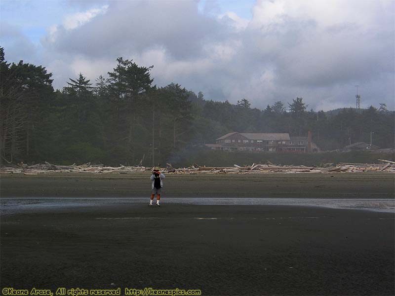 Kalaloch