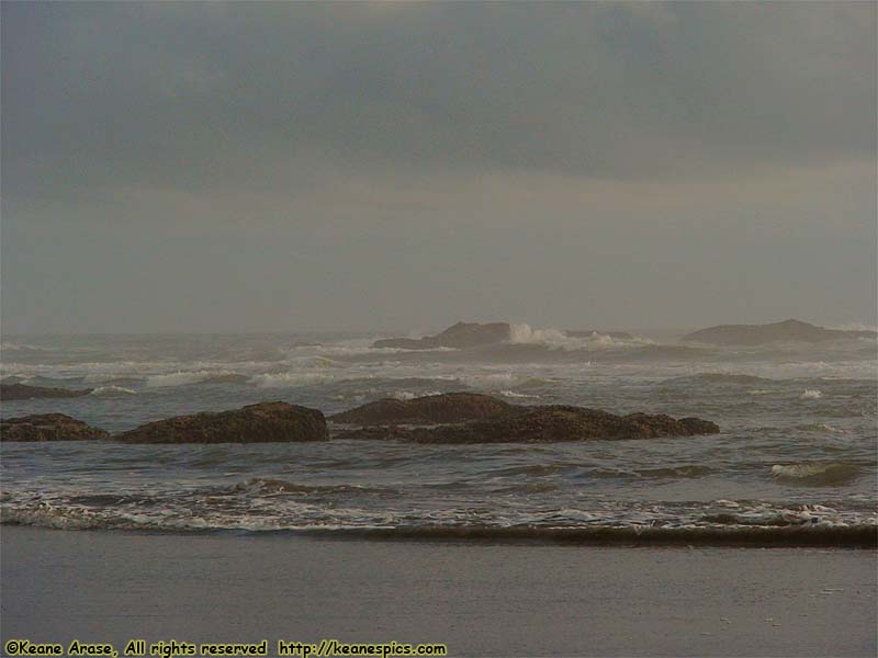 Kalaloch