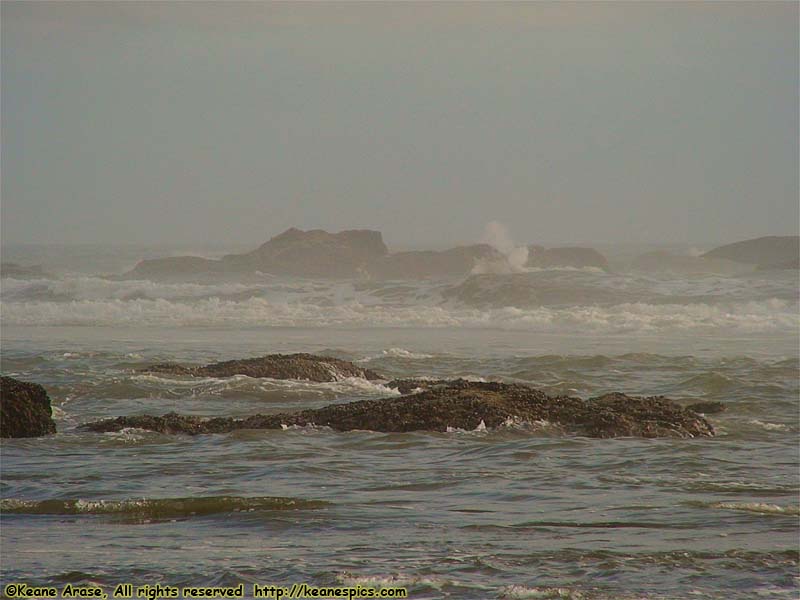 Kalaloch