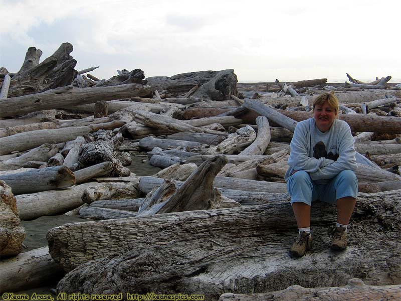 Kalaloch