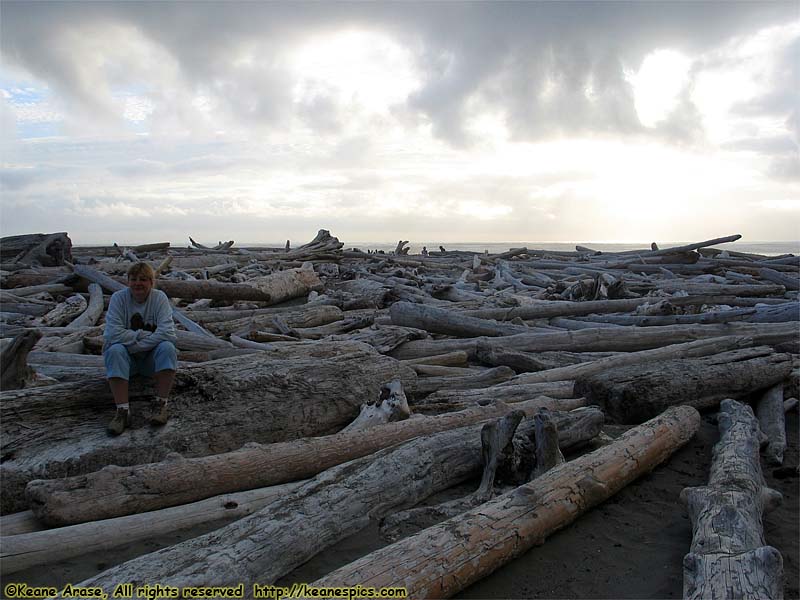 Kalaloch