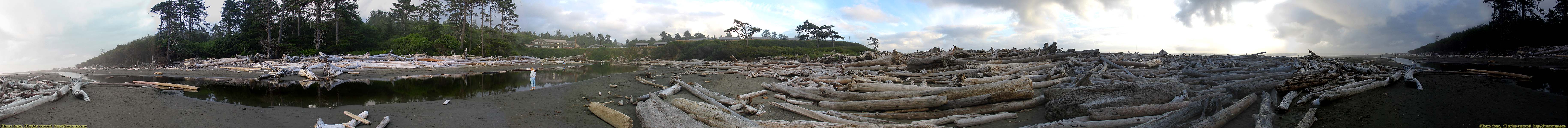 Kalaloch