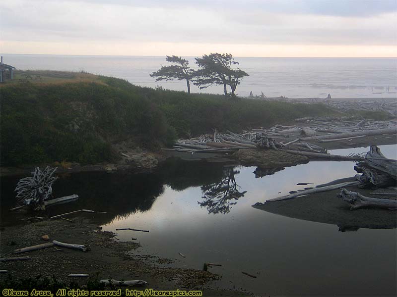 Kalaloch Creek