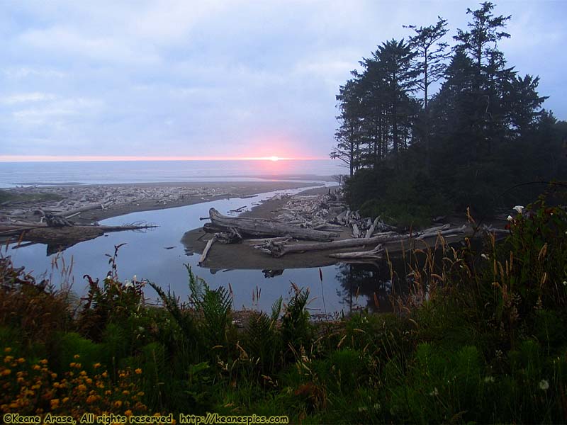 Kalaloch Creek