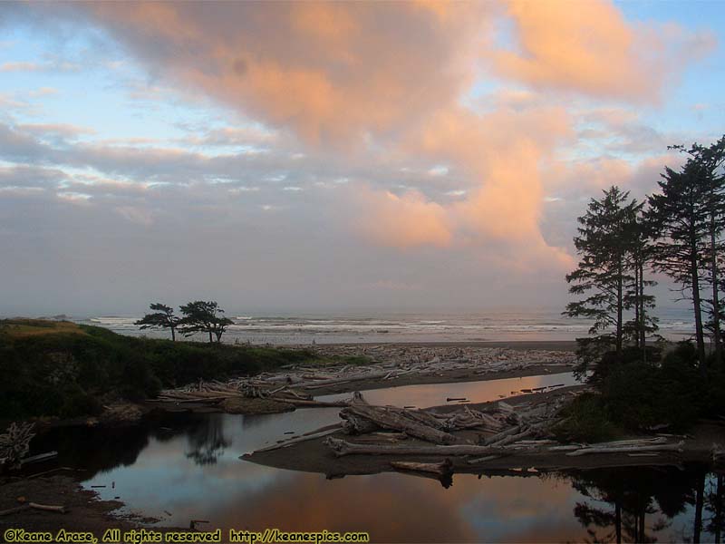 Kalaloch Creek