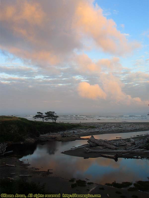 Kalaloch Creek