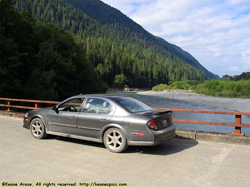 Quinault Rain Forest