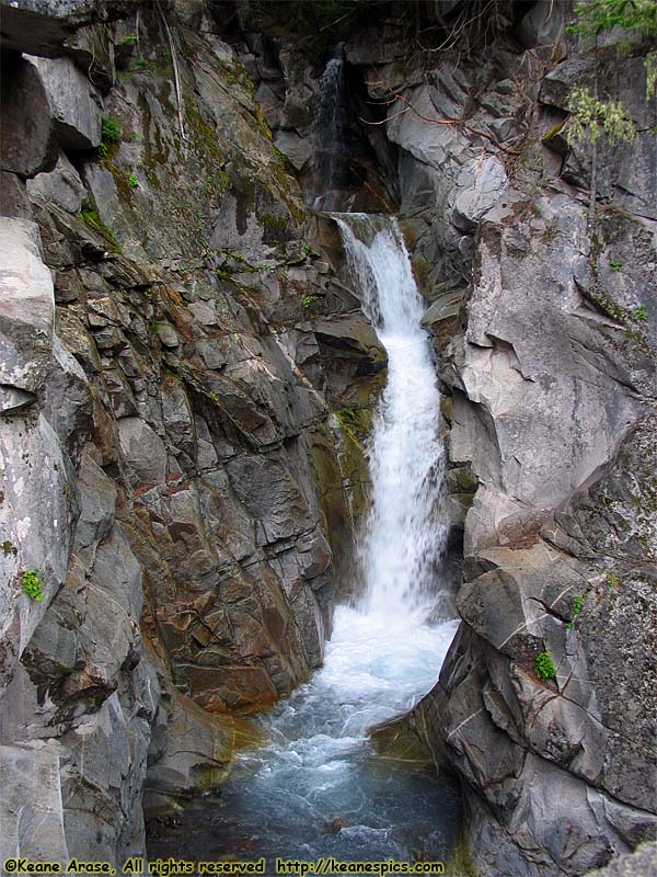 Christine Falls