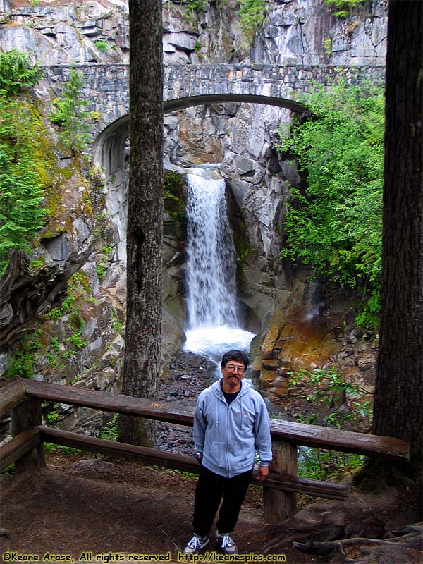 Christine Falls