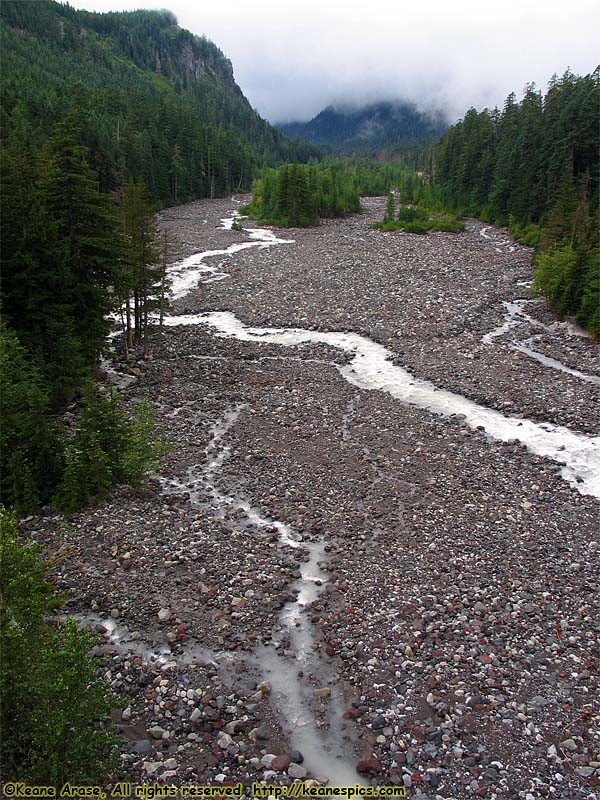 Nisqually River