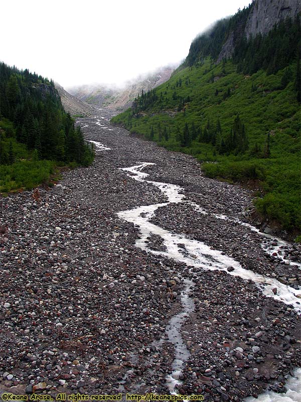 Nisqually River