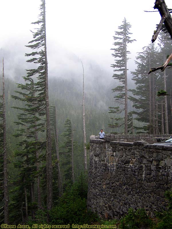 Narada Falls