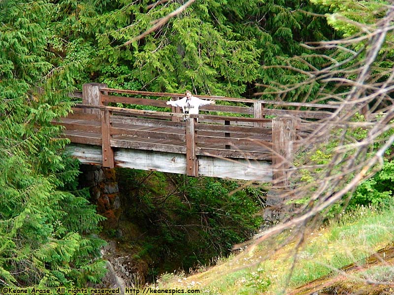 Box Canyon of the Cowlitz