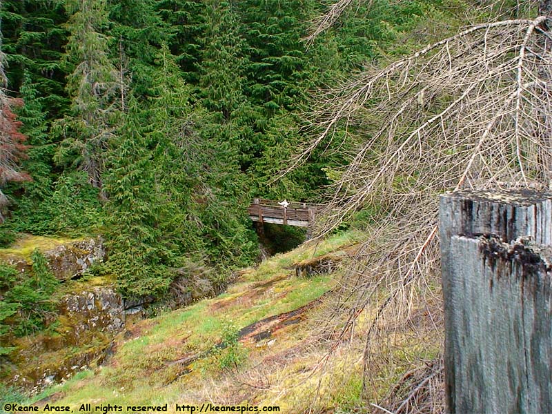 Box Canyon of the Cowlitz