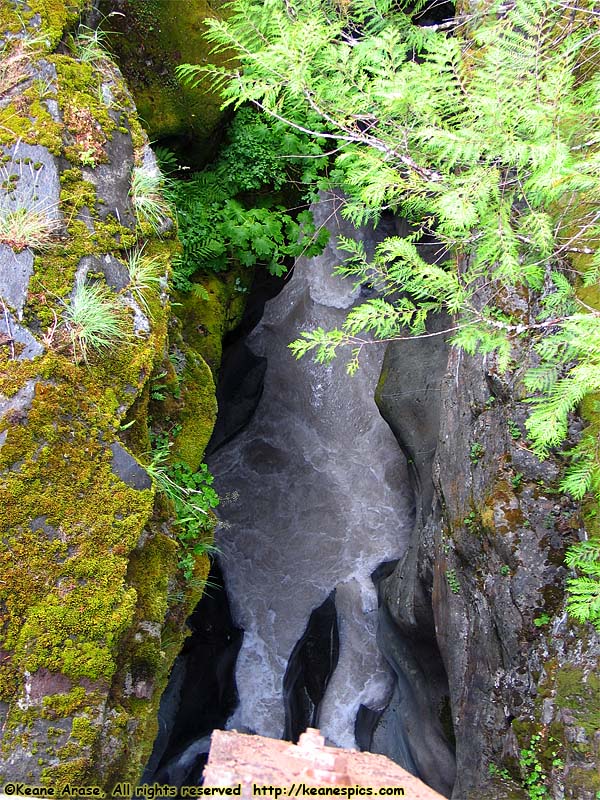 Box Canyon of the Cowlitz