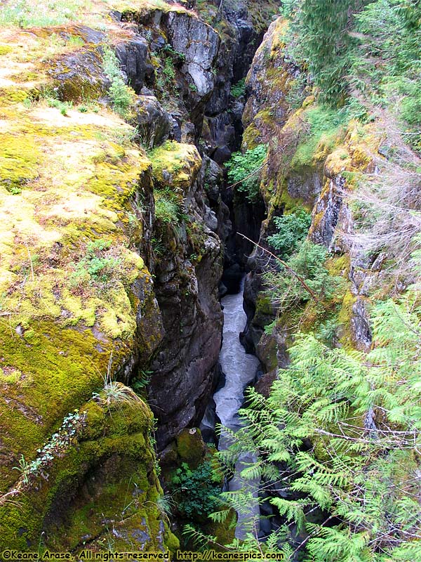 Box Canyon of the Cowlitz