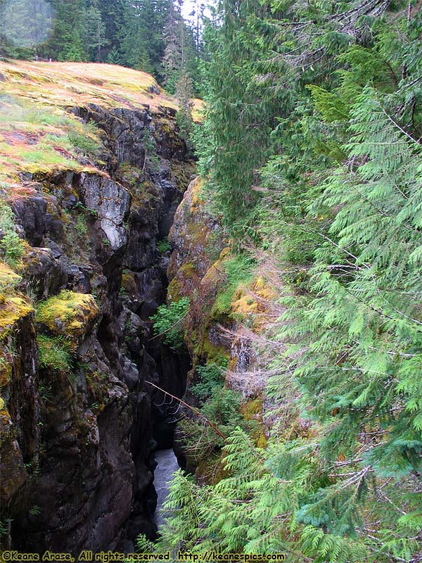 Box Canyon of the Cowlitz