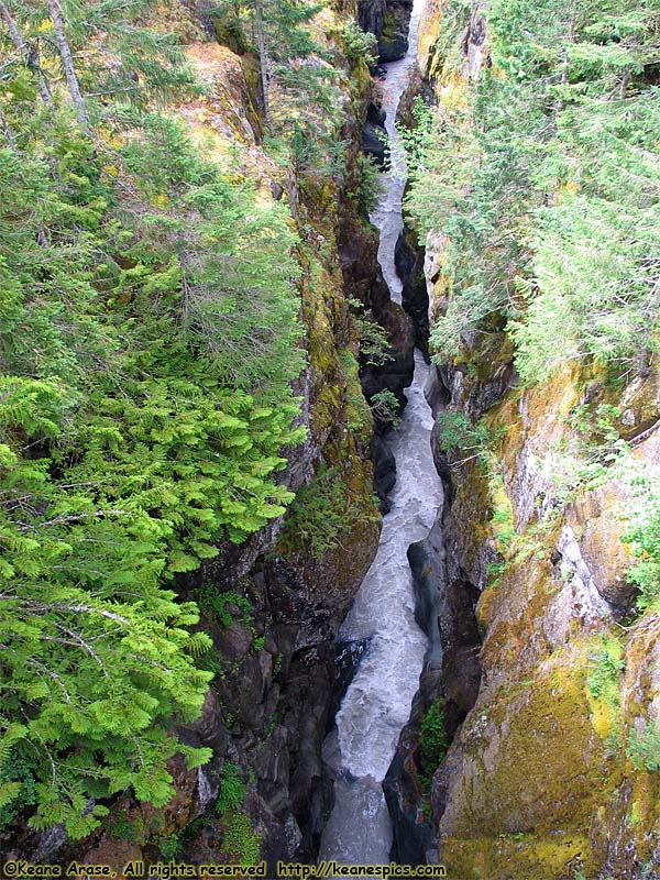 Box Canyon of the Cowlitz