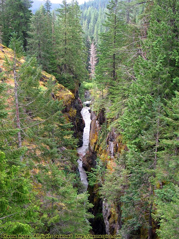 Box Canyon of the Cowlitz