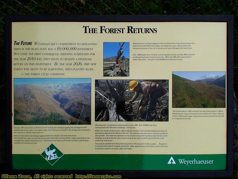 Forest Returns sign