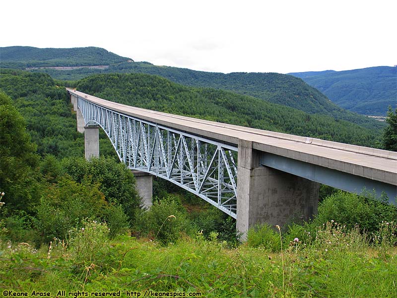 Hoffstadt Creek Bridge