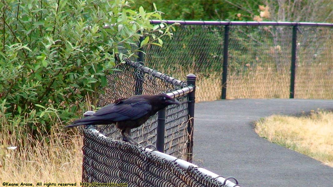 Forest Learning Center