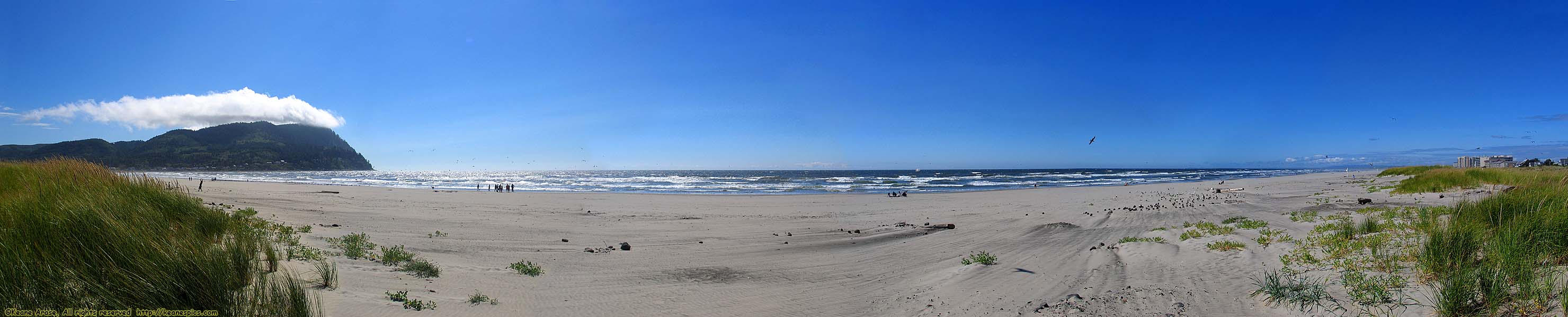 Pacific Ocean panoramic