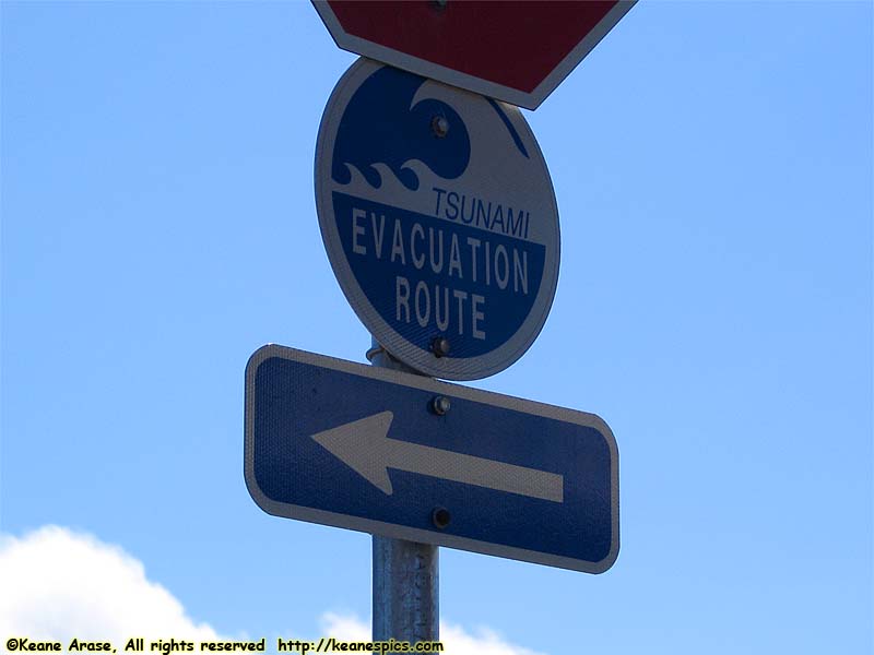 Tsunami Evacuation Sign