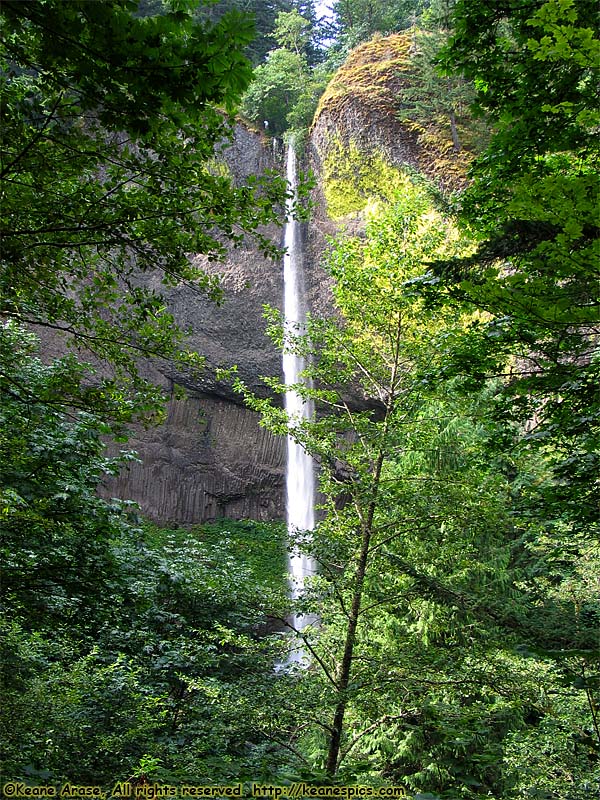 Latourell Falls