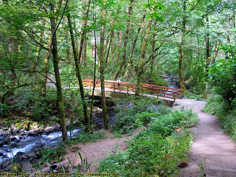 Bridal Veil Falls