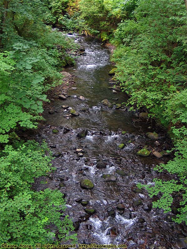 Bridal Veil Falls