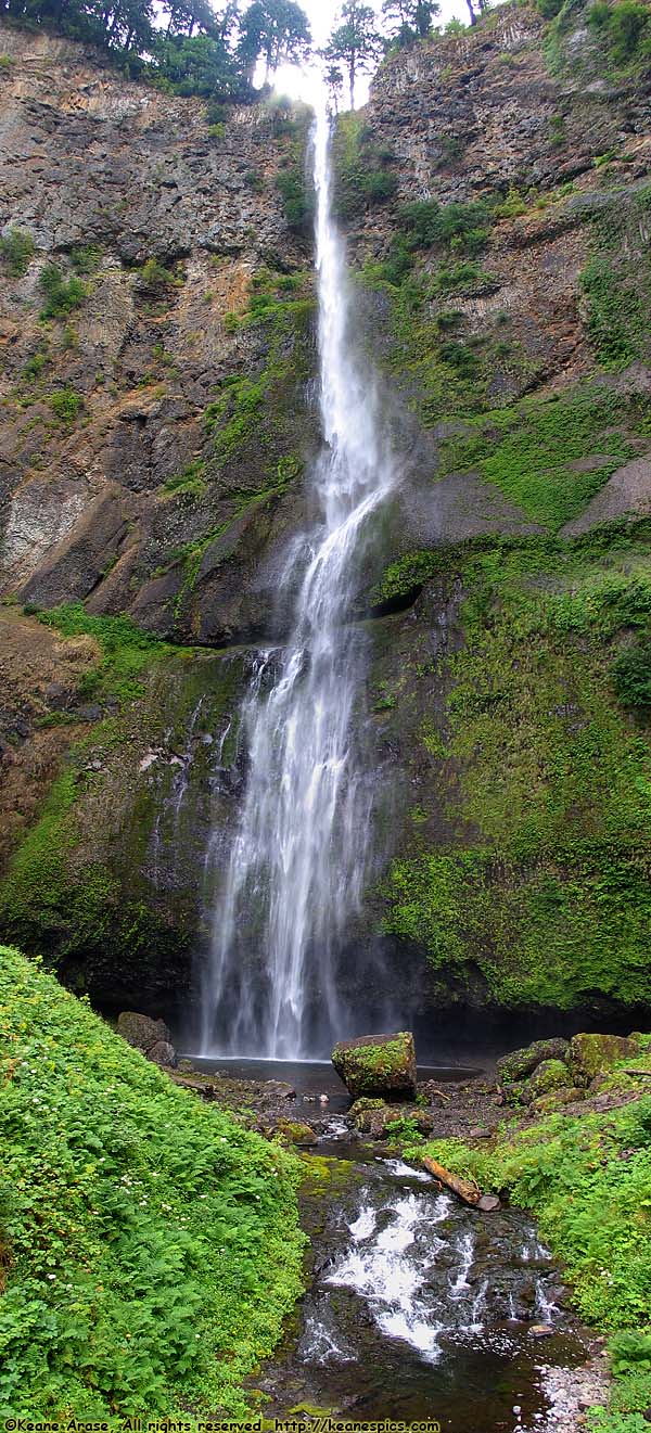 Multnomah Falls