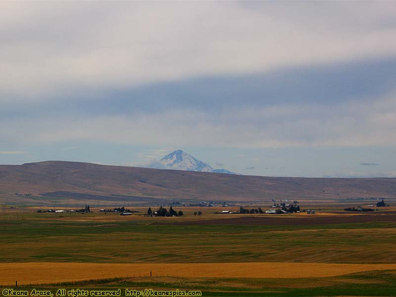 Mt. Hood