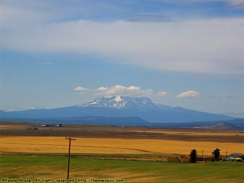 Mt. St. Helens