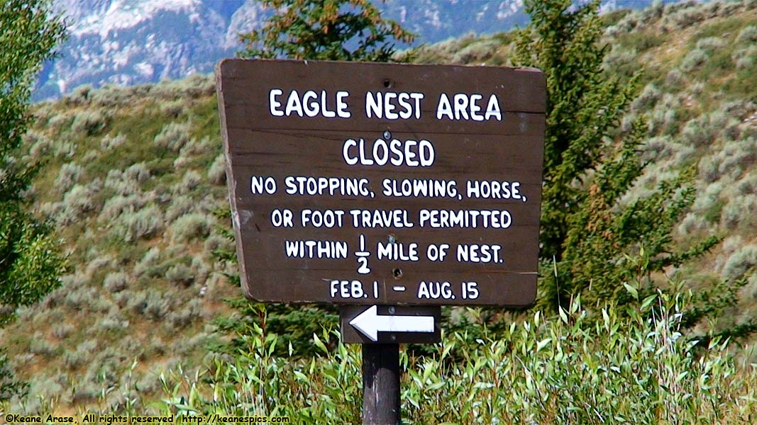 Snake River Float Trip