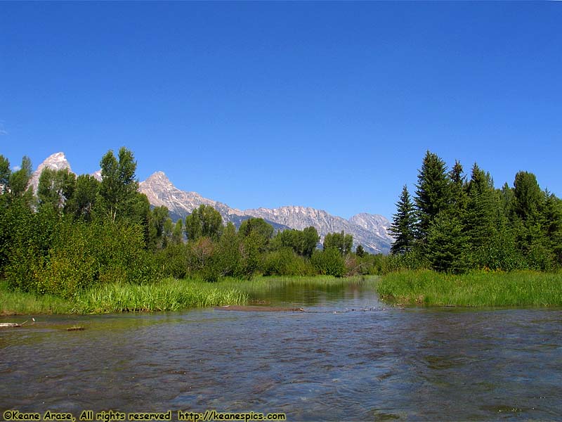 Snake River Float Trip