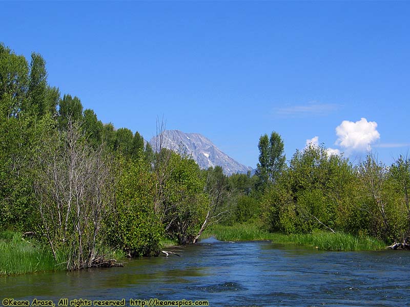 Snake River Float Trip