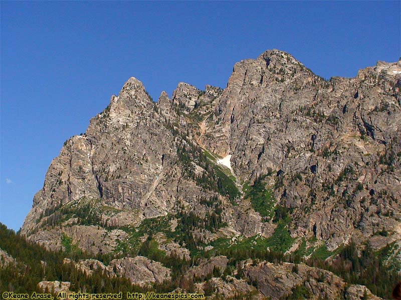 Jenny Lake Boat Ride