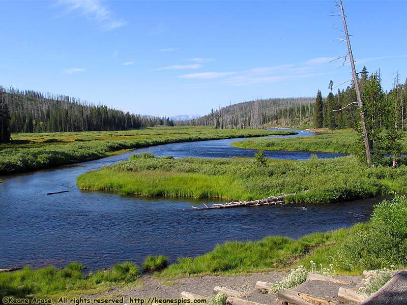 Lewis River