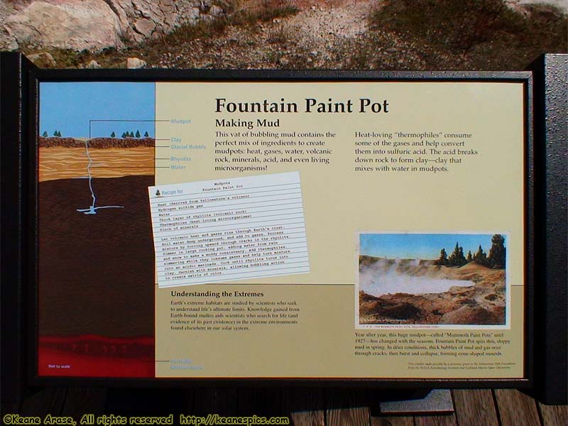 Fountain Paint Pot