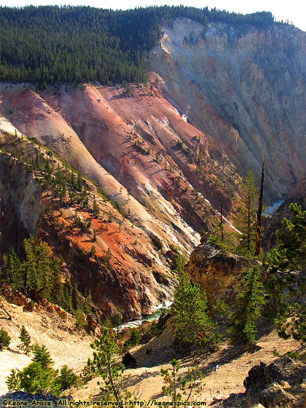 Grand Canyon of the Yellowstone