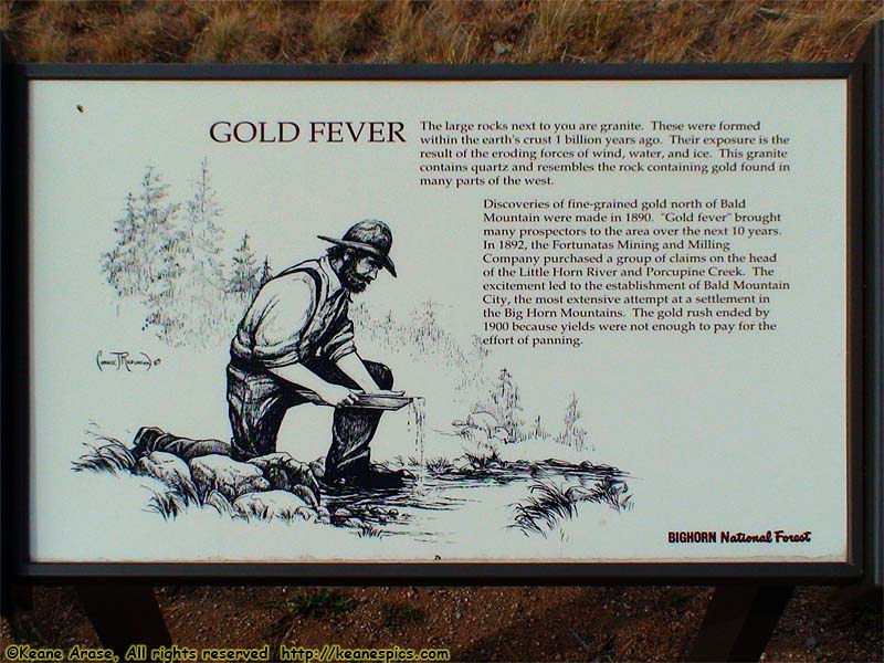 Gold Fever sign