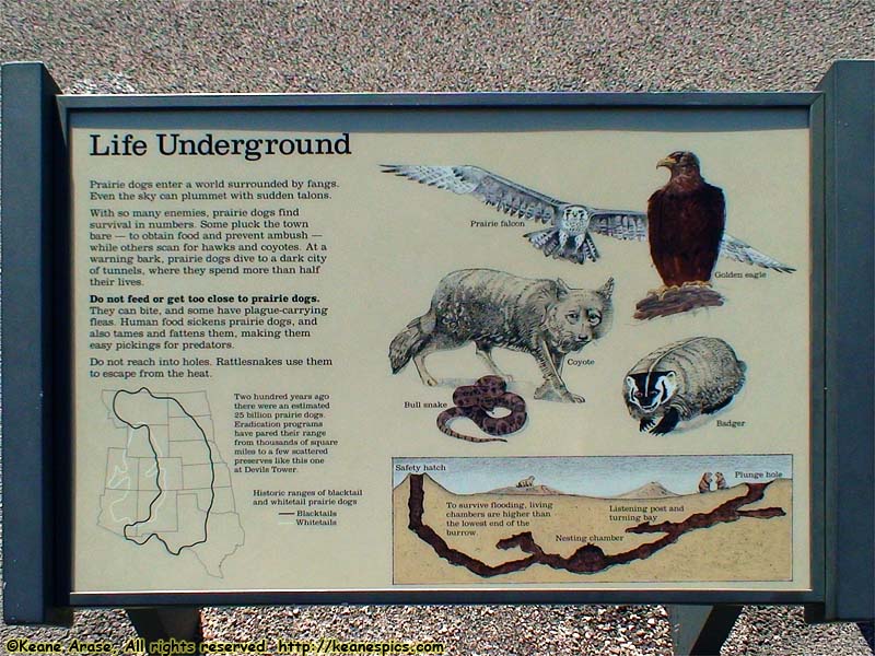 Life Underground sign